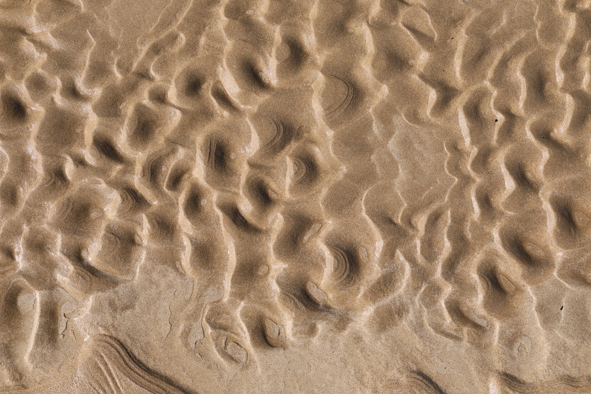 Natural sand patterns on the beach at low tide.copy space.